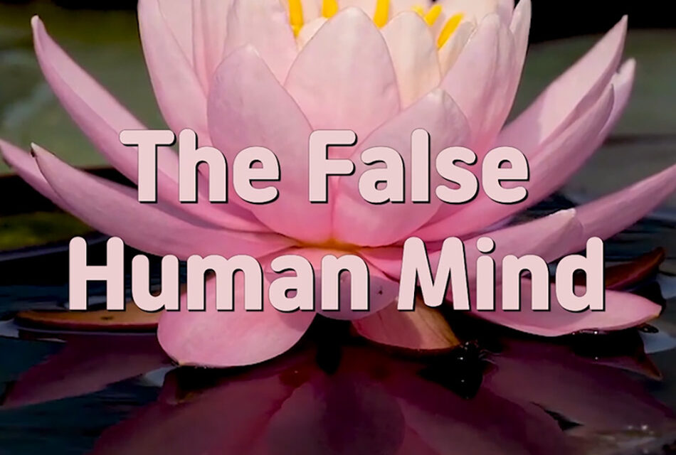 Master Woo Myung – Meditation Quote – The False Human Mind