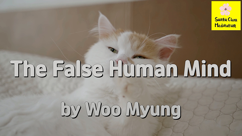Master Woo Myung – Truth’s Answer – The False Human Mind | Santa Clara Meditation