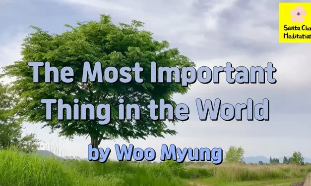 Master Woo Myung – Wisdom Message – The Most Important Thing in the World