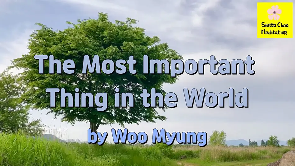 Master Woo Myung – Wisdom Message – The Most Important Thing in the World