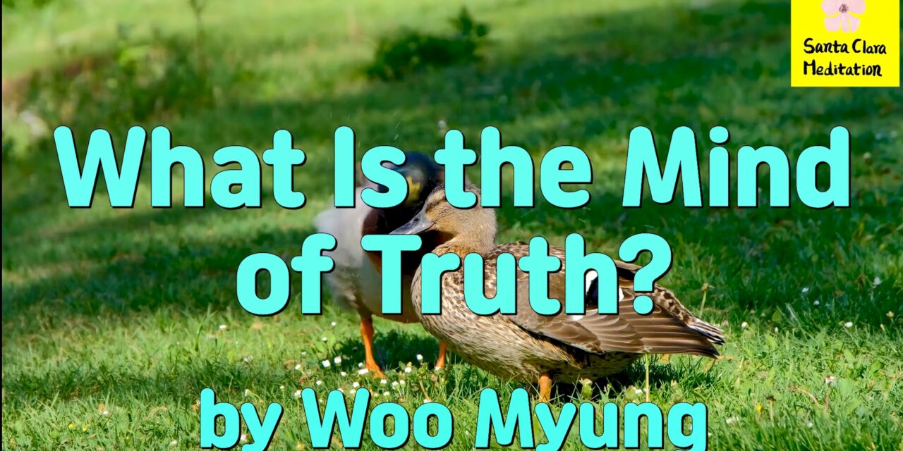 #1 Bestselling Author Master Woo Myung – What Is the Mind of Truth?