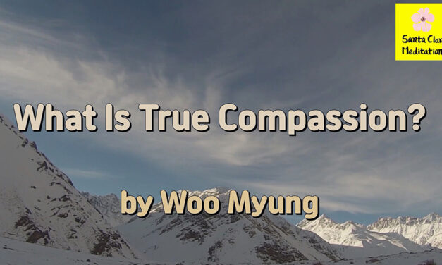 Master Woo Myung – Truth Poetry – What Is True Compassion ?
