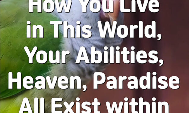 Master Woo Myung – How to Live in Paradise – How You Live in This World, Your Abilities, Heaven, Paradise All Exist within the Mind