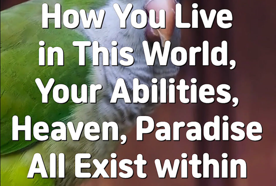 Master Woo Myung – How to Live in Paradise – How You Live in This World, Your Abilities, Heaven, Paradise All Exist within the Mind