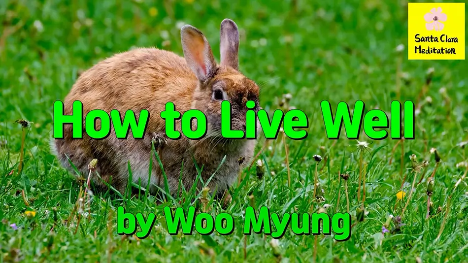 Master Woo Myung – Truth’s Answer – How to Live Well