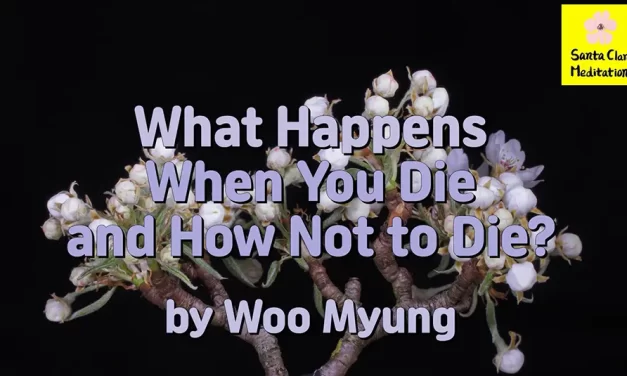 Master Woo Myung – Meditation Pioneer – What Happens When You Die and How Not to Die?