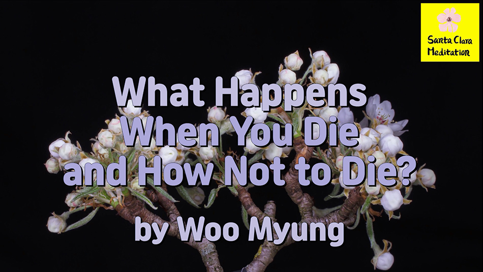 Master Woo Myung – Meditation Pioneer – What Happens When You Die and How Not to Die? | Meditation