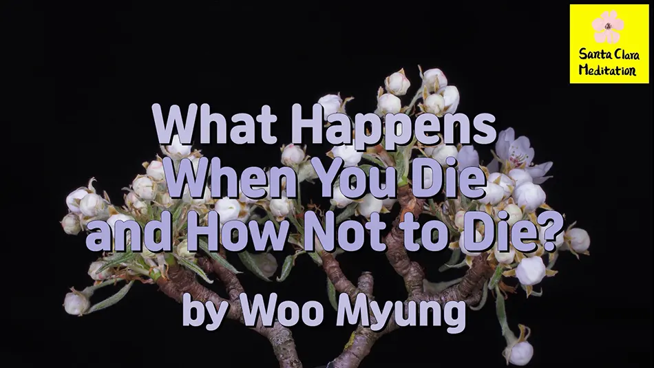 Master Woo Myung – Meditation Pioneer – What Happens When You Die and How Not to Die?