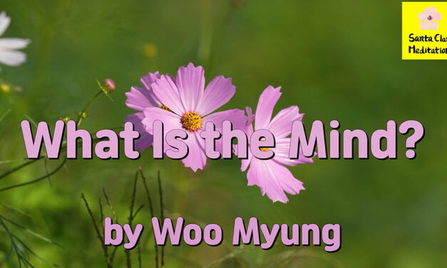 Master Woo Myung – Teaching of Truth – What Is the Mind? | Santa Clara Meditation
