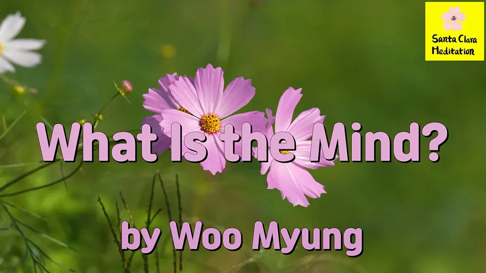 Master Woo Myung – Teaching of Truth – What Is the Mind?