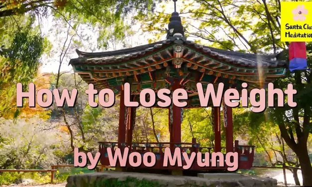 Master Woo Myung – How to Be Healthy – How to Lose Weight