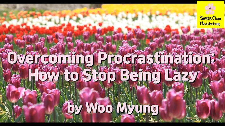 Master Woo Myung – Advice to Live Well – Overcoming Procrastination: How to Stop Being Lazy