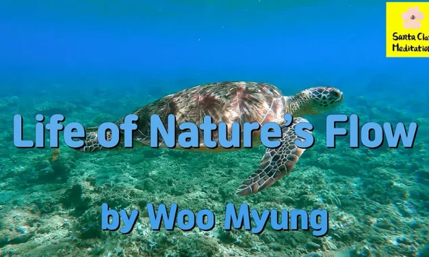 Master Woo Myung – How to Live Well – Life of Nature’s Flow