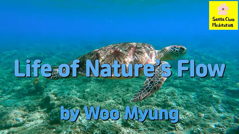 Master Woo Myung – How to Live Well – Life of Nature’s Flow