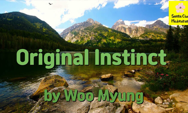 Master Woo Myung – Poem to Awaken – Original Instinct | Santa Clara Meditation