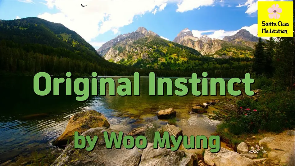 Master Woo Myung – Poem to Awaken – Original Instinct