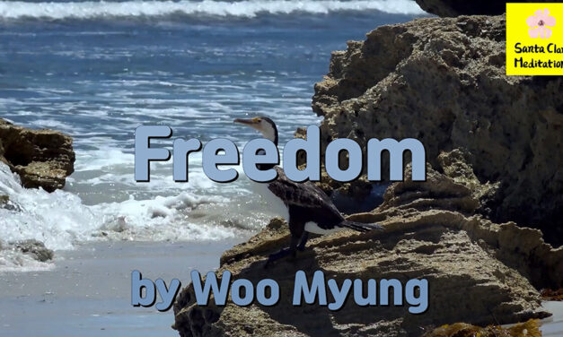 Master Woo Myung Book – The Enlightened World – Freedom | Santa Clara Meditation