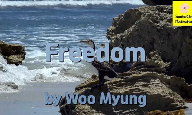 Master Woo Myung Book – The Enlightened World – Freedom