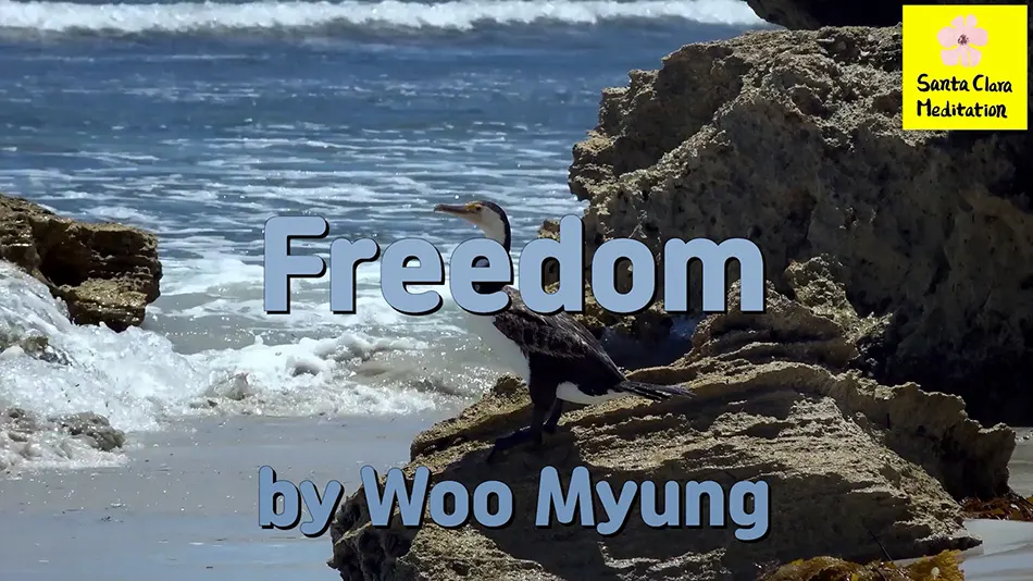 Master Woo Myung Book – The Enlightened World – Freedom