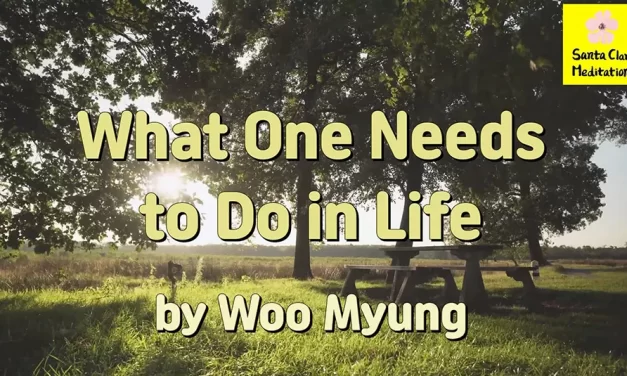 Master Woo Myung – Life Coach – What One Needs to Do in Life