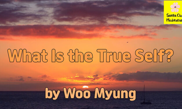 Master Woo Myung – Method for Finding Your True Self – What is the True Self? | Santa Clara Meditation
