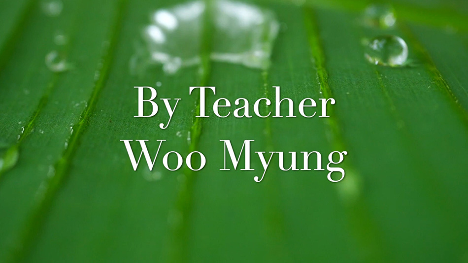 Master Woo Myung Song Lyrics and Verses – ‘I LOVE YOU’