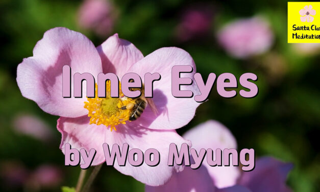Master Woo Myung – Wisdom Poem – Inner Eyes | Santa Clara Meditation
