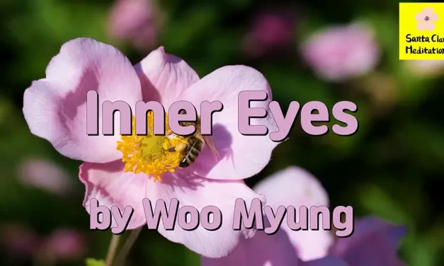 Master Woo Myung – Wisdom Poem – Inner Eyes