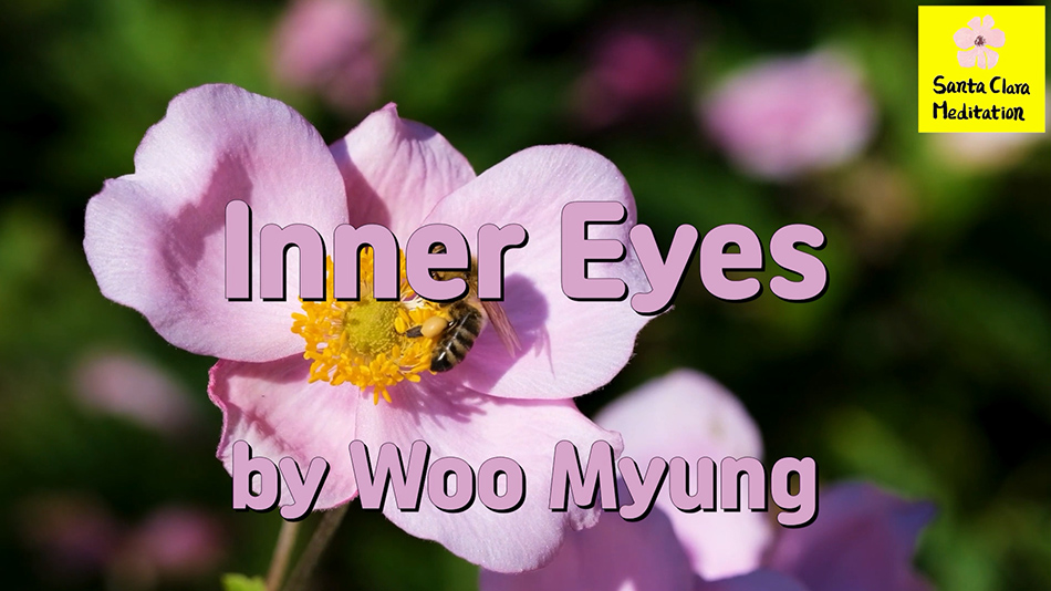 Master Woo Myung – Wisdom Poem – Inner Eyes | Santa Clara Meditation