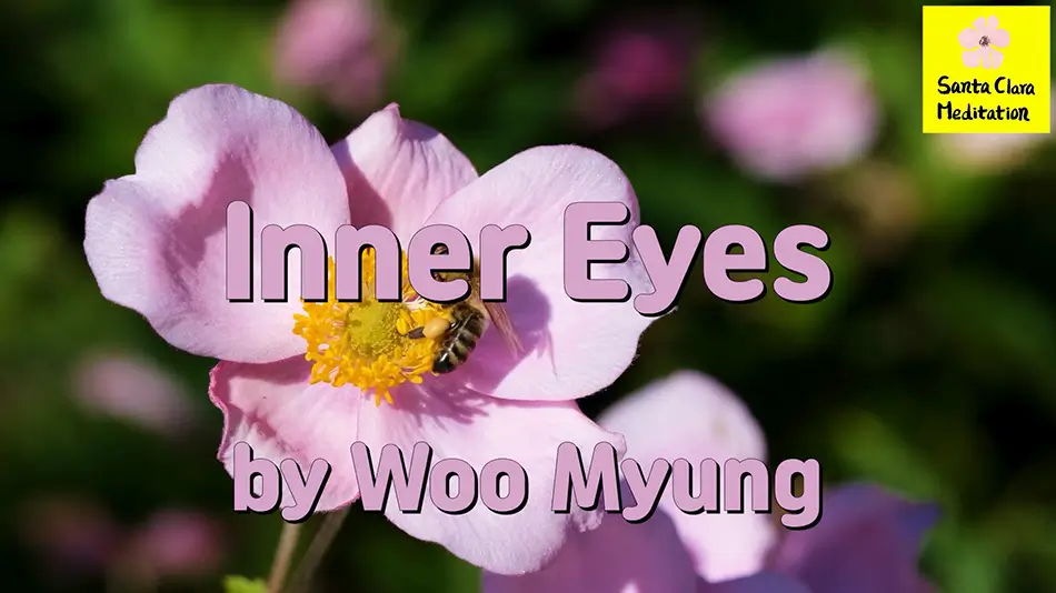 Master Woo Myung – Wisdom Poem – Inner Eyes