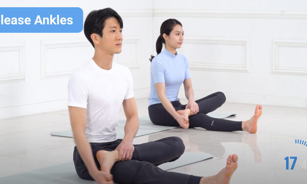 Santa Clara Meditation Exercise Meditation – Releasing Exercise – Short Version