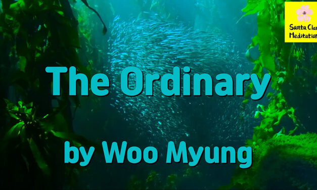Master Woo Myung Book – Mind – The Ordinary | Santa Clara Meditation