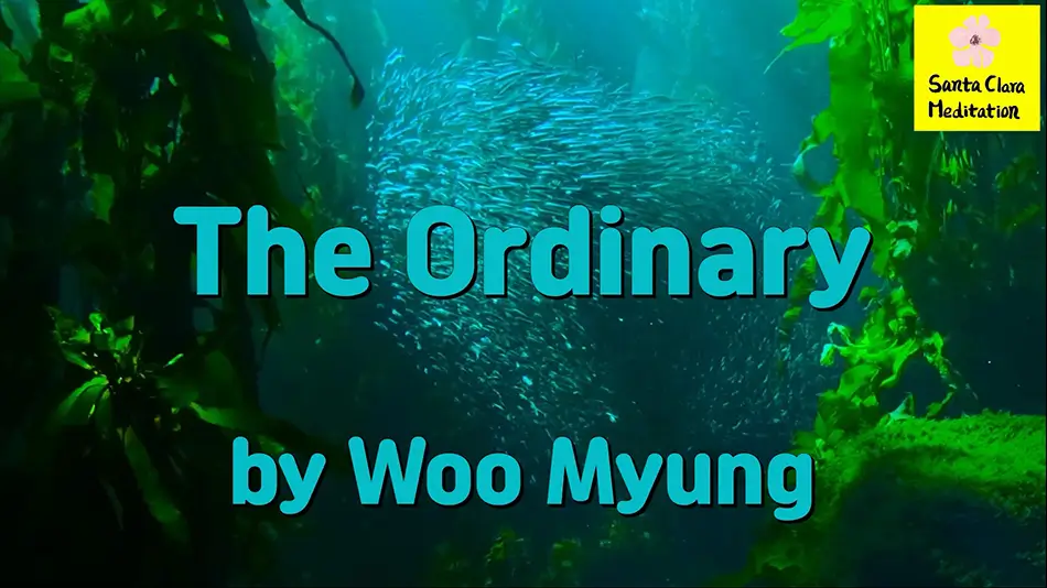 Master Woo Myung Book – Mind – The Ordinary