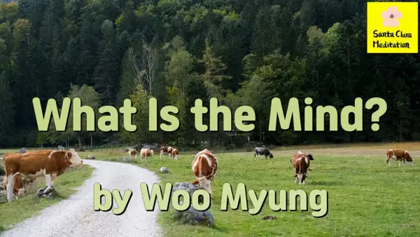 Master Woo Myung – Wisdom Quote – What is the Mind?