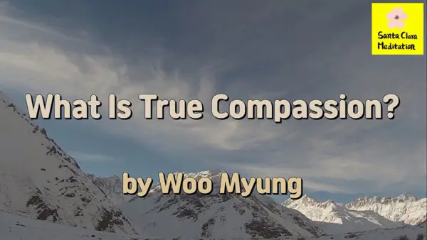 Master Woo Myung – Truth Poetry – What Is True Compassion ?