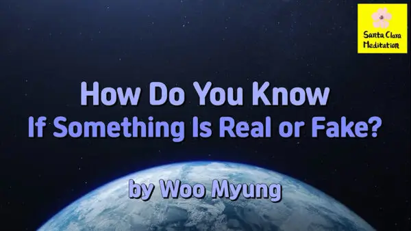 Master Woo Myung – Q&A – How Do You Know If Something Is Real or Fake?