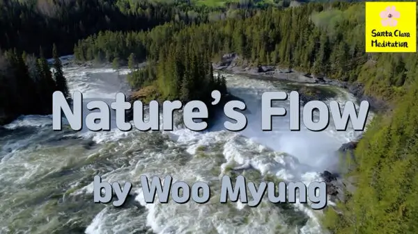 Master Woo Myung Book – The Enlightened World – Nature’s Flow