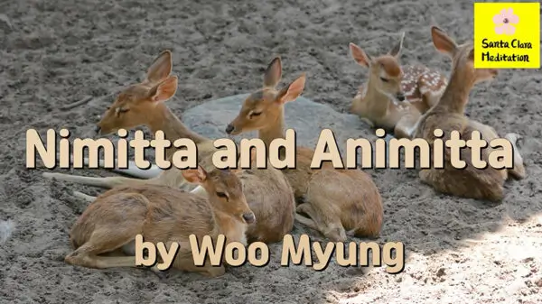 Master Woo Myung – Truth Poem – Nimitta and Animitta